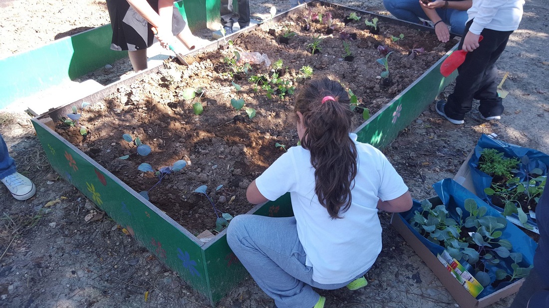 Πρόσωπο με πρόσωπο με την φύση
